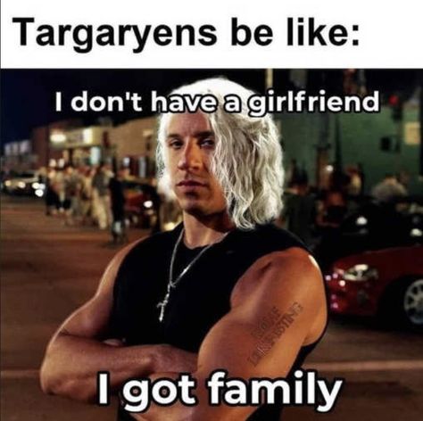 Collection of Best HOUSE OF THE DRAGON MEMES - Guide For Geek Moms Game Of Thrones Series, Dragon Memes, Game Of Thrones Funny, Film Anime, Got Memes, Targaryen Aesthetic, Gra O Tron, Game Of Thrones Art, House Of The Dragon