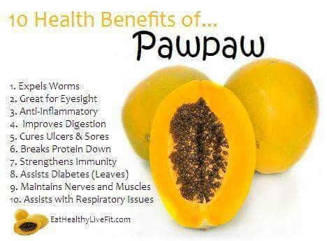 Pawpaw Fruit, Paw Paw Fruit, Food Health Benefits, Fruit Benefits, Coconut Health Benefits, Sport Nutrition, Paw Paw, Healthy Benefits, Healing Food