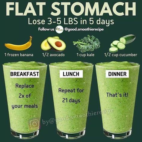 Easy Healthy Smoothies, Burn Stomach Fat, Canker Sore, Smoothie Drink Recipes, The Smoothie Diet, Healthy Drinks Recipes, Green Smoothie Recipes, Fruit Smoothie Recipes, Flat Stomach