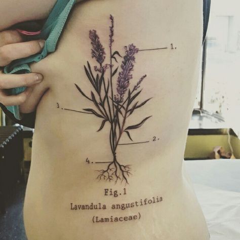 Lavender tattoo Lavender Chest Tattoo, Lavender Tattoo Black, Pentagram Tattoo, Science Tattoos, Lavender Tattoo, Chest Piece Tattoos, Plant Tattoo, Chest Piece, Lavandula Angustifolia