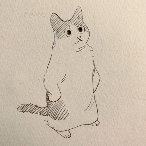 fenkko 🐳 on Twitter: "sometimes i catch my cat standing like this and it’s very good… " Art Drawings Sketches Animals, Anime Cat Sketch, Cat Sketches Cute, Cat Art Tutorials, Art Inspiration Drawing Sketches Doodles, Cat Standing Up, Cat Sketch Cute, Cat Standing Up Drawing, Art Sketches Cat