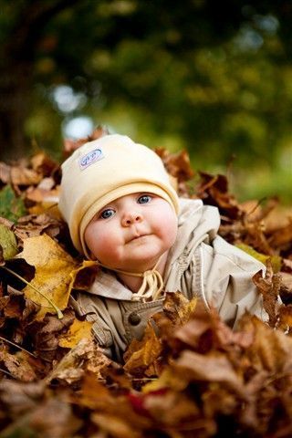 Fall Baby Pictures, Photo Bb, Foto Newborn, Baby Fotografie, Foto Baby, Foto Tips, Fall Family Photos, Gentle Parenting, Fall Baby