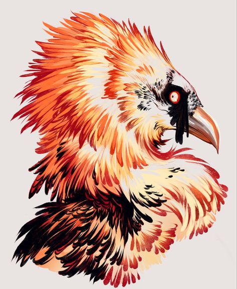 Bearded Vulture, Creature Drawings, Pretty Animals, Creature Concept Art, Animal Sketches, Creature Concept, Color Lines, Funky Art, Creature Design