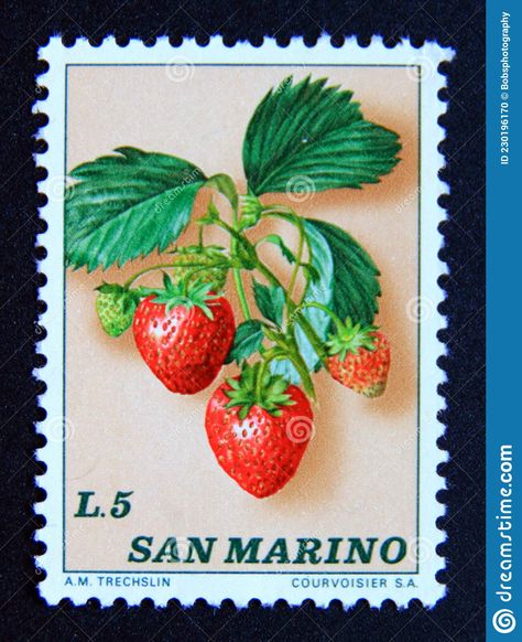 Strawberry Kitchen, Postage Stamp Design, Coffee Cup Art, Commemorative Stamps, Strawberry Decorations, Old Stamps, Food Stamps, Postage Stamp Art, Fruit Food