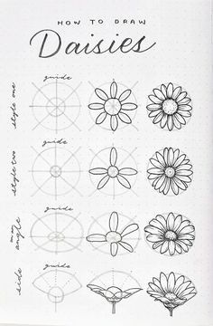 Drawing Daisies Step By Step, Draw A Daisy Step By Step, How To Draw Daisies Step By Step, How To Draw Daisies, Doodle Houses, Craft Doodles, Daisy Flower Drawing, Hur Man Ritar Blommor, Pencil Sketch Tutorial