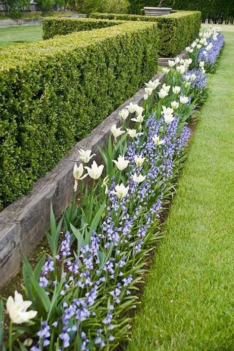 Ina Garten's Garden Tropical Yard, Landscaping Lighting, Exterior Landscaping, Cafe Exterior, Top Flowers, Garden Hedges, Plants Tropical, Landscaping Simple, Garden Privacy