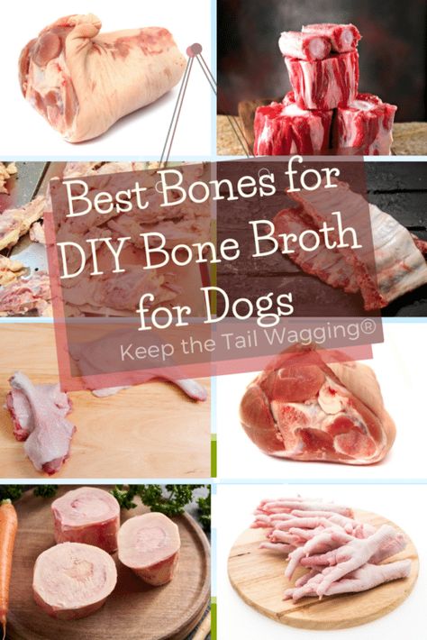 Pet Bone Broth, Homemade Broth For Dogs, Beef Bone Broth Recipe For Dogs, Diy Bone Broth For Dogs, Bone Broth Dog Recipe, Bone Broth Treats For Dogs, How To Make Bone Broth For Dogs, Bone Broth For Dogs Recipes Crockpot, Bone Broth Gummies For Dogs