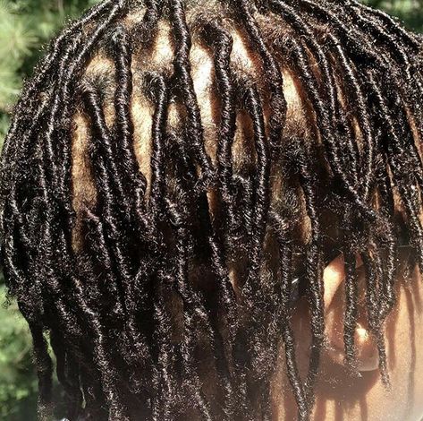 New Locs, Itchy Scalp, Best Shampoos, Promotes Hair Growth, Positive Attitude, Natural Oils, Locs, Textured Hair, Life Is