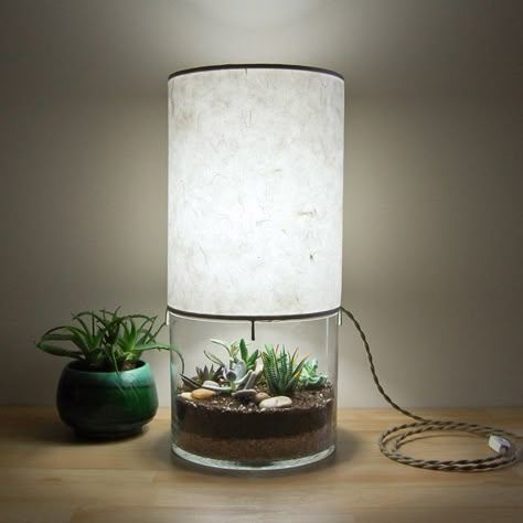 Terrarium / Display Table Lamp. Love this idea! To make. Round Terrarium, Terrarium Lamp, Terrarium Table, Terrarium Display, Luminaria Diy, ليلو وستيتش, Creative Lamps, Paper Lampshade, Display Table