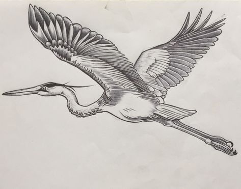 Pelican Drawing, Pelican Tattoo, White Bird Tattoos, Heron Tattoo, Cartoon Tattoo Ideas, Animated Shows, Fly Drawing, Crane Tattoo, Cuff Tattoo