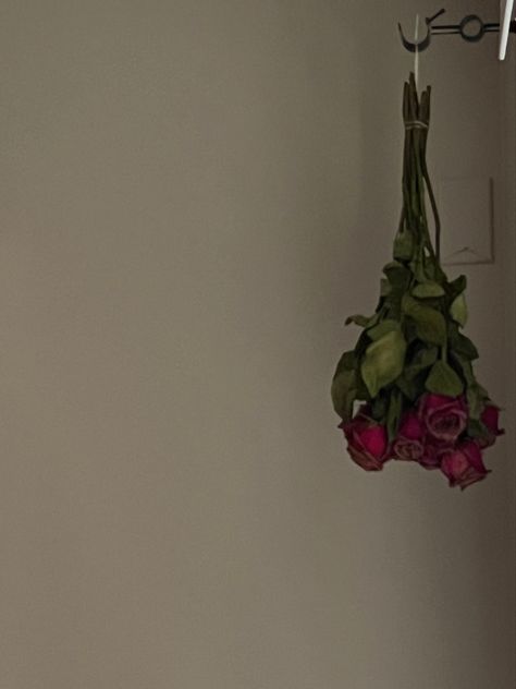 upside down red rose bouquet. low exposure photo great for collages, or backgrounds. Upside Down Bouquet, Flowers Hung Upside Down, Upside Down Flowers, Upside Down Dried Flowers, Hanging Bouquet Upside Down, Drying Roses Upside Down, Wilted Rose Aesthetic, Drying Roses, Rose Bouquet