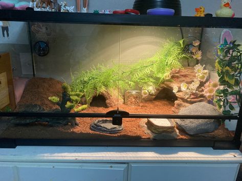 Leapord Gecko Cage Setup, 10 Gallon Snake Tank, Gecko Tank Setup, Leopard Gecko Tank Setup, Leopard Gecko Terrarium Ideas, Gecko Setup, Leopard Gecko Setup, Leopard Gecko Cage, Gecko Cage