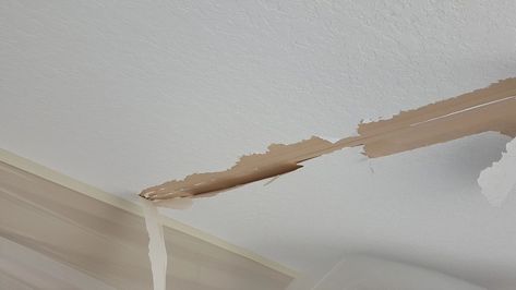 Painting Ceilings Tips, Plaster Ceiling Repair, Garage Drywall, Repairing Drywall, Fixing Drywall, Wallpaper Repair, Repair Ceilings, Sheetrock Repair, Ceiling Repair