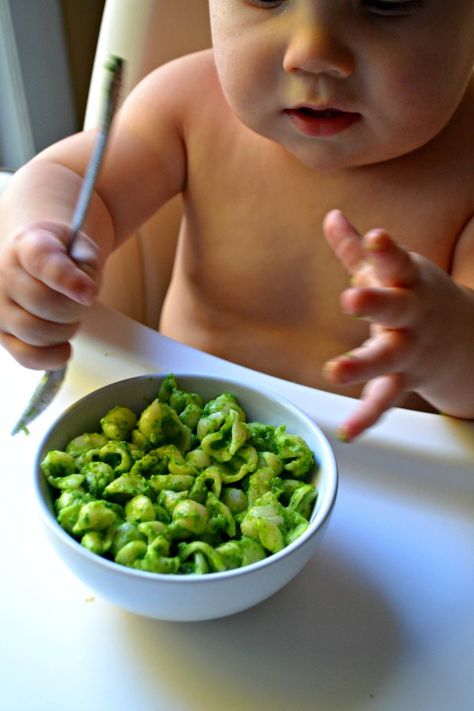 Totally Healthy Fake Out Spinach Avocado Mac and Cheese (for the little ones) | Sarcastic Cooking Avocado Mac And Cheese, Fingerfood Baby, Soy Yogurt, Spinach Avocado, Almond Yogurt, Toddler Foods, Toddler Recipes, Avocado Pasta, Weaning Recipes