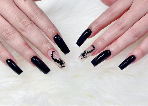 Black Scorpio Nails, Scorpio Nail Ideas, Scorpion Nails, Birthday Nails Scorpio, Scorpio Nails Designs, Nails Scorpio, Scorpio Nails, Jungle Birthday Cakes, Black Scorpio