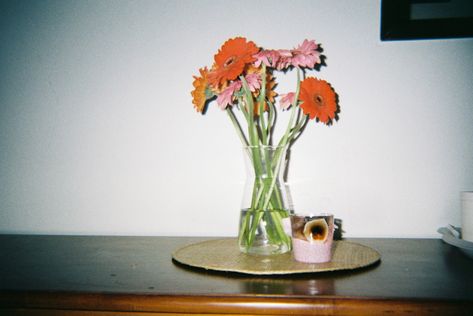 Film Flowers Aesthetic, Flower Film Photography, Flowers Film Photography, Film Camera Aesthetic Pictures, Vintage Film Camera Aesthetic, Camera Film Aesthetic, Flower Film, Flower Camera, Pink Film