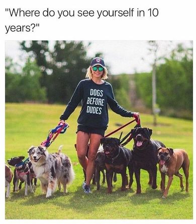 You know what your future holds and you�re 100% on board with it: | 18 Pictures That Are Literally You As A Dog Owner Australian Shepherd Red Tri, Black Dogs, Crazy Dog Lady, 강아지 그림, Dog Lady, See Yourself, Crazy Dog, Black Dog, Funny Animal Pictures