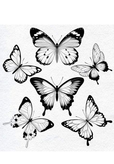 Ornamental Butterfly Tattoo, Fineline Butterfly Tattoo, Tattoo Papillon, Tattoo Ornament, Butterfly Tattoos Images, Borboleta Tattoo, Butterfly Tattoo Stencil, Butterfly Outline, Butterfly Tattoo Designs