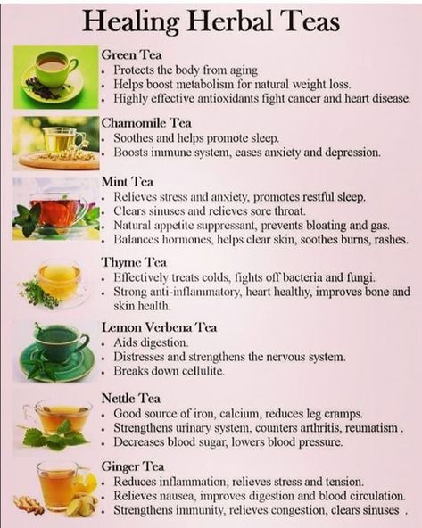 Tea Benefits Chart, Morning Tea Recipes, Mint Tea Benefits, Tea Recipes Loose Leaf, Summer Tea Recipes, Black Tea Recipe, Healthy Teas Recipes, Healthy Chicken Recipe, Mint Tea Recipe