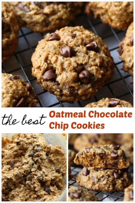 Oatmeal Chocolate Chip Cookies are soft, chewy, and thick oatmeal cookie recipe that is a buttery and delicious and stays soft for days! #cookiesandcups #cookierecipe #cookies #oatmealcookies #chocolatechipcookies Best Oatmeal Chocolate Chip Cookies, Desserts Nutella, The Best Oatmeal, Oatmeal Chocolate Chip Cookie Recipe, Best Oatmeal Cookies, Coconut Chocolate Chip Cookies, Dessert Halloween, Oatmeal Cookies Chewy, Soft Chocolate Chip Cookies