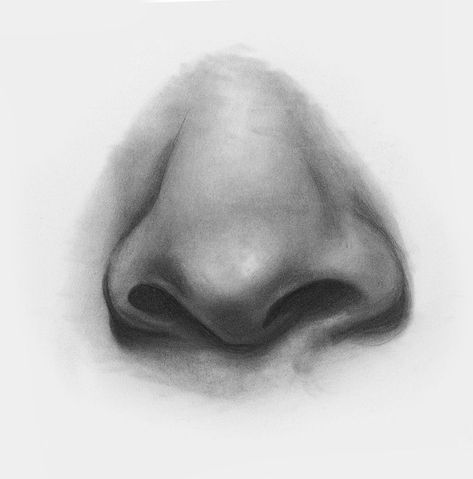 Straight-On View, Nose Demo, Step 3 | Lee Hammond | How to Draw Facial Features for Beginners | Artists Network Draw Facial Features, Sketch Nose, Nose Profile, Features Drawing, Draw Nose, Portrait Tips, Drawing Nose, Sketches Anime, Face Video