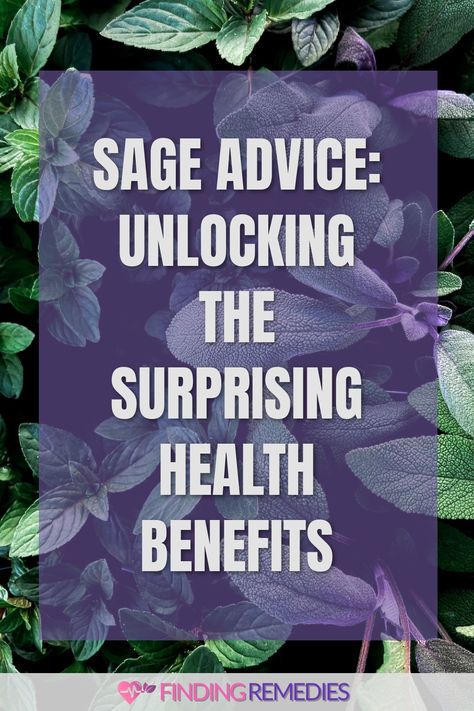 Sage Advice: Unlocking the Surprising Health Benefits Sage Health Benefits, Benefits Of Sage, Types Of Sage, Sage Benefits, Fruit Health Benefits, Fresh Sage, Fruit Benefits, Improve Heart Health, Health Heal