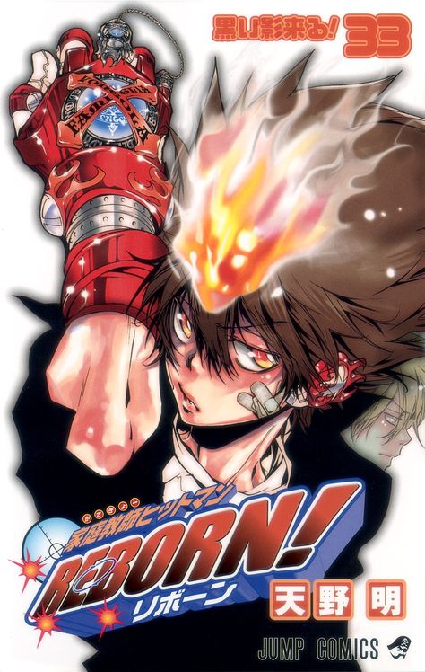 Reborn Manga, Reborn Anime, Katekyo Hitman Reborn, Anime Poster, Reborn Katekyo Hitman, Hitman Reborn, Japanese Manga Series, Manga Covers, An Anime