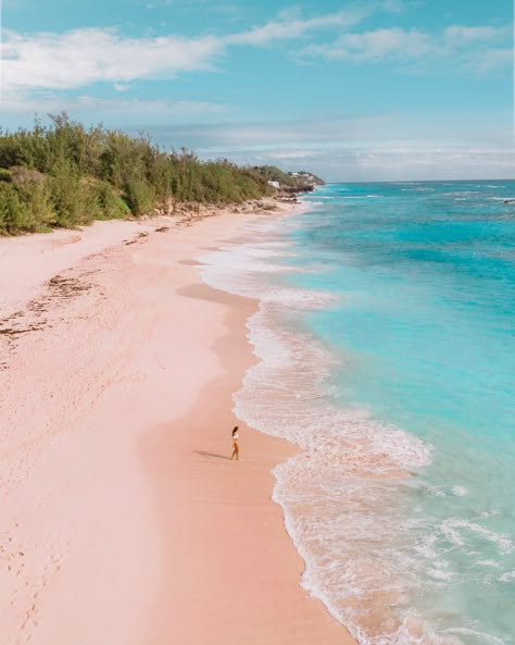 Bermuda Travel Guide, Bermuda Pictures, Pink Sand Beach Bermuda, Bermuda Photography, Bermuda Photos, Bermuda Cruise, Bermuda Island, Bermuda Travel, Bermuda Beaches