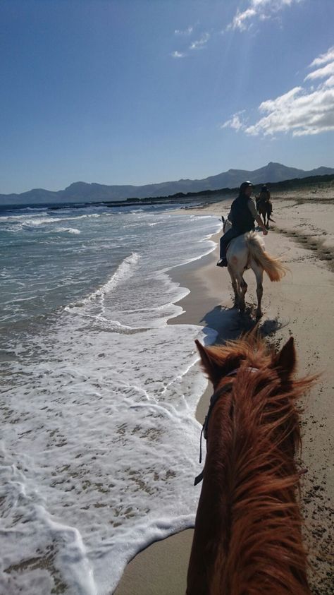 Horse Riding Aesthetic Beach, Horse Back Riding On Beach, Horse Riding On Beach, Calendars Aesthetic, Horseback Riding Beach, Horse Riding Beach, Summer Horse Riding, Horse Beach Riding, Horse On Beach