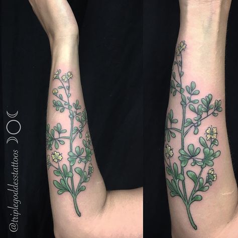 Some fresh rue... 🌿 thank you to the best clients! - Bookin Rue Plant Tattoo, Rue Tattoo, Rue Plant, Flowers Tattoos, Plant Tattoo, Tattoo Project, Flower Tattoos, Flower Tattoo, Thank You