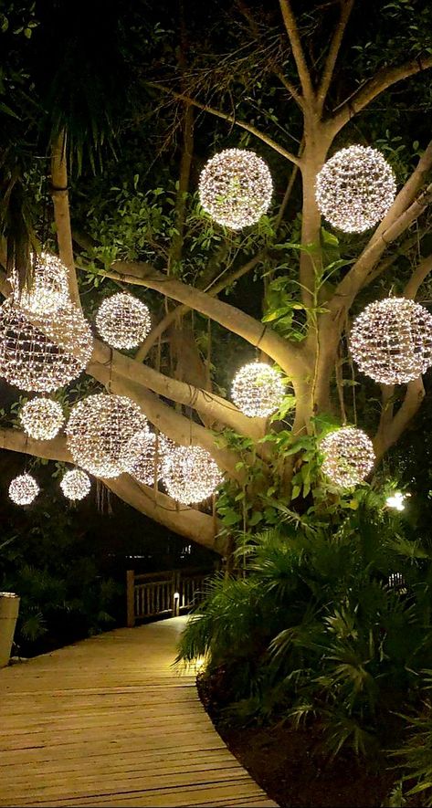 Big Tree Lighting, Christmas Outdoor Decor Yard Decorations Lighting Ideas, Diwali Lights Decoration House Outside, Exterior Christmas Lights Ideas, Outdoor Christmas Lights Globe, Diwali House Lighting Outdoor, Outdoor Christmas Tree Ideas, Outdoor Globe Lights Tree, Outdoor Palm Tree Christmas Lights