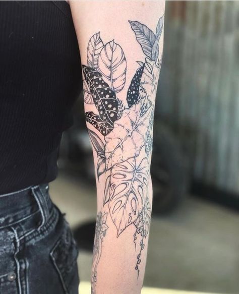 Full Arm Plant Tattoo, Jungle Foliage Tattoo, Realism Plant Tattoo, Plant Tattoos Black And White, Ornamental Plant Tattoo, House Plant Sleeve Tattoo, Plant Tattoo Ideas Sleeve, Alocasia Plant Tattoo, Houseplant Sleeve Tattoo