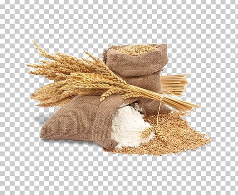 Food Art Photography, Photoshop Tutorial Photo Editing, Rice Grain, Food Poster Design, Grain Foods, Banner Background Images, Banner Background, Organic Food, Food Poster