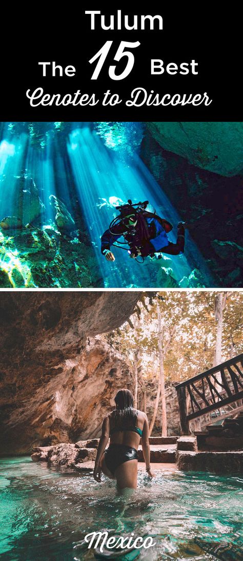 15 Best Cenotes in Tulum: The Ultimate Guide (2023) Cenotes Tulum, Yucatan Peninsula, Tulum Mexico, Natural Pool, Rooftop Terrace, Aquatic Plants, Public Transport, Tourist Attraction, Tulum