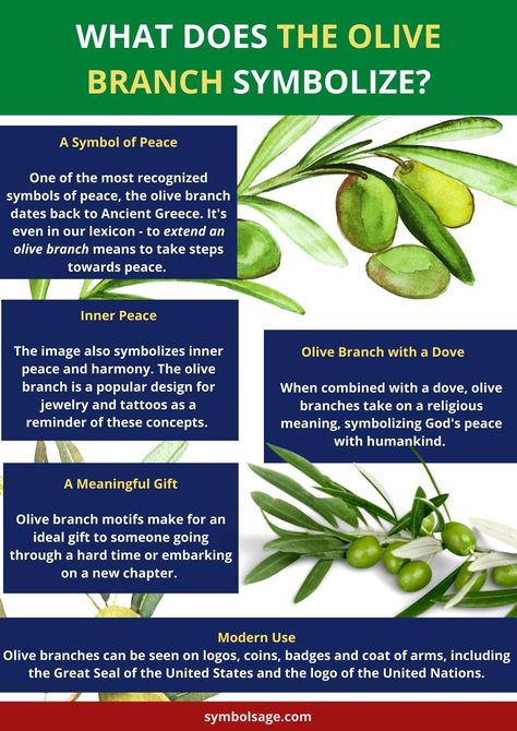 The Olive Branch is a  ubiquitous symbol, immediately recognized as a symbol of peace. Here's what it means and why. What Does The Olive Branch Symbolize, Olive Tree Symbolism, Olive Tree Meaning, Olive Branch Meaning Bible, Olive Branch Symbolism, Olive Branch Tattoo Meaning, Olive Branch Meaning, Leaf Symbolism, Gods Peace