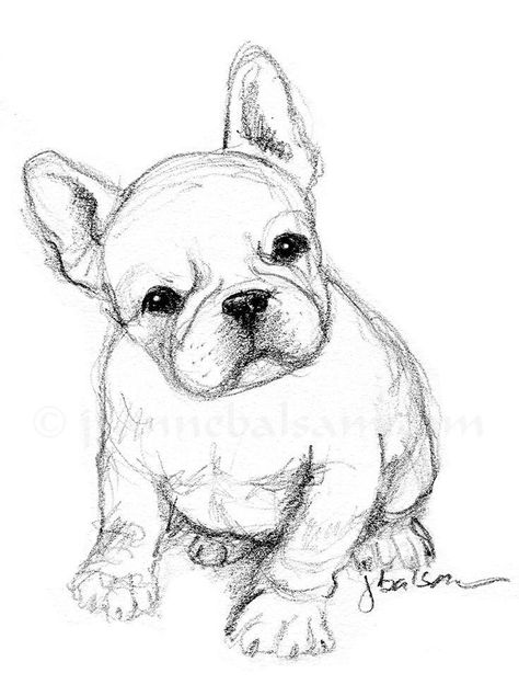 40 Free & Easy Animal Sketch Drawing Ideas & Inspiration - Brighter Craft Bulldog Drawing, Beautiful Pencil Drawings, Animal Sketch, Easy Animal Drawings, Bulldog Francese, Animal Drawings Sketches, Easy Animals, Dog Sketch, 강아지 그림