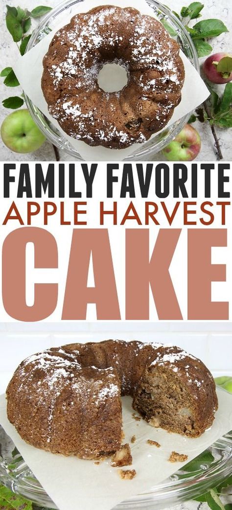 I make this apple harvest cake over and over again every fall. It's an easy, delicious way to celebrate harvest season and it's definitely a family favourite! #AppleRecipes #FallBaking #AppleCake #HarvestRecipes Harvest Apple Cake, Apple Harvest Cake, Harvest Cake Recipe, Harvest Cake, Fall Treats Recipes, Baked Items, Harvest Recipes, Oreo Dessert, S'mores