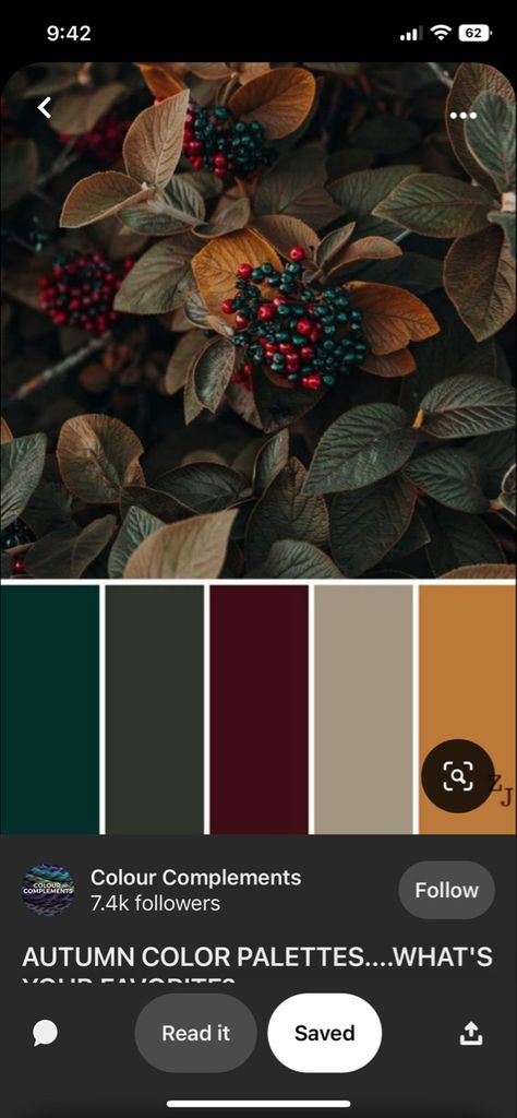 Maroon Decor, Hunter Green Wedding, Burgundy Colour Palette, Jewel Tone Color Palette, Color Palette Living Room, Green Color Combinations, Green Apartment, Gold Color Palettes, Green Wedding Colors