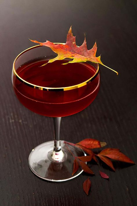 This Autumn-spiced hibiscus whisky cocktail is enchanted with your favorite Fall spices and that magical, magenta, cranberry-like hibiscus essence. With only 6 ingredients; cinnamon, clove, hibiscus tea, sugar whisky and maraschino liqueur, you’ll adore this original, sensually colored and perfectly spiced autumn cocktail. #cocktails, #fallcocktails Hibiscus Cocktail, Spiked Apple Cider, Cranberry Pear, Apple Cider Cocktail, Whisky Cocktail, Cider Cocktails, Fall Cocktail, Whisky Cocktails, Fancy Cocktails