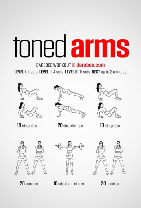 Arm Fitness, Effective Workout Plan, Tone Arms Workout, Arm Workouts At Home, Beginner Workout At Home, Summer Body Workouts, Easy Exercises, Arm Workouts, Body Workout At Home