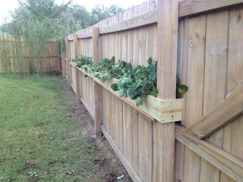 New strawberry planter made from extra fence boards to blend in Wood Fence With Planters, Garden Box On Fence, Wooden Fence Planter Ideas, Strawberry Fence Planter, Over The Fence Planters, Small Fenced In Garden, Fence Pots Planters, Flower Boxes On Fence, Diy Fence Planters