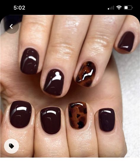 Brown Nail, Makeup Nails Designs, Brown Nails, Gel Nail Designs, Dream Nails, Fancy Nails, Chic Nails, Dope Nails, Short Acrylic Nails