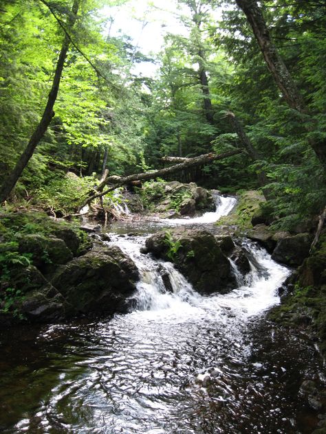 Michigan 2013 Michigan Forest, Magic Island, Nature Aesthetic, Go Outside, Mother Earth, Beautiful Landscapes, Amazing Photography, Garden Landscaping, North America