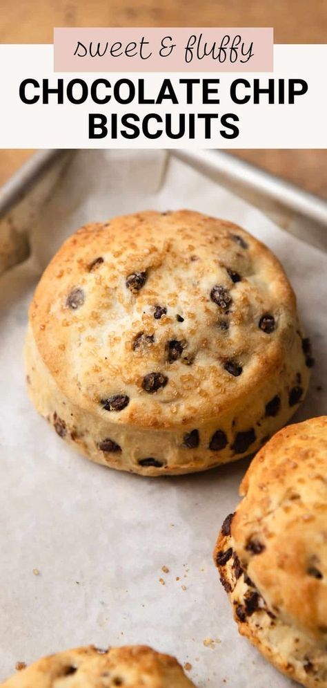 These chocolate chip biscuits are so buttery and flaky. They're crisp on the outside with a tender, fluffy interior. Loaded with mini chocolate chips and sprinkled with sugar, they make a great sweet, Southern-style addition to your breakfast table! American Biscuits, Chocolate Chip Biscuits, Single Serve Cake, Different Types Of Bread, Italian Chocolate, Homemade Chocolate Chips, Chocolate Biscuits, Breads & Buns, Types Of Bread