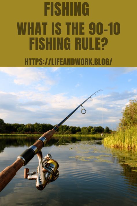 Fishing Pole Storage, Trout Fishing Tips, Fishing For Beginners, Bass Fishing Tips, Fishing Diy, Walleye Fishing, Crappie Fishing, Fishing Techniques, Fishing Quotes