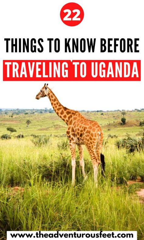 Uganda travel tips: 22 Things to know before traveling to Uganda Best Time To Travel, Uganda Travel, Best Countries To Visit, Africa Travel Guide, Facebook Contest, Visit Africa, Time To Travel, Tourist Guide, Countries To Visit