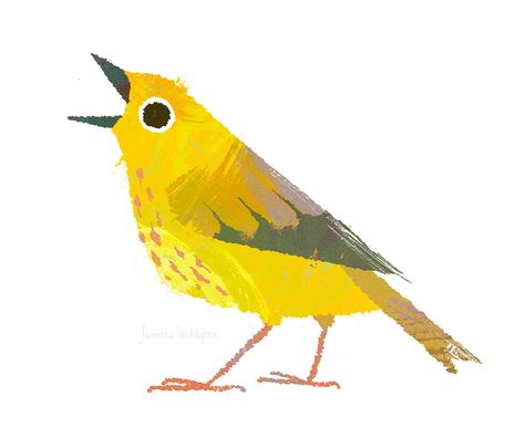 Bird Guide, Yellow Warbler, Book Illustration Layout, Children's Book Characters, Bird Artists, Picture Books Illustration, Bird Book, Australian Birds, Yellow Bird