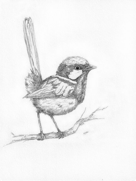 "Superb Fairy Wren 1" by Kim Baker. Paintings for Sale. Bluethumb - Online Art Gallery Wren Tattoo Simple, Wren Bird Drawing, Aussie Drawing Simple, Blue Wren Tattoo Black And White, Fairy Wren Tattoo, Wren Drawing, September Tattoo, Wren Line Drawing, Fairy Wren Drawing