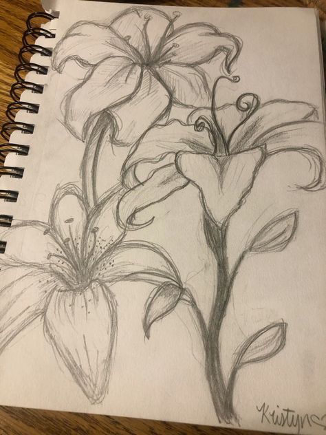 Drawing Inspo Sketch Flowers, Cute Art Pieces, Drawing Flowers Colored Pencils, Lily Art Drawing, Easy Drawing Ideas Flowers, How To Draw Pretty Flowers, Drawing Inspo Flowers, Drawing Ideas With Shading, Art With Words Drawing