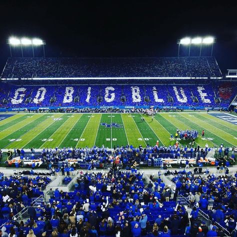 Kentucky Football Wallpaper, University Of Kentucky Football, Kentucky Wildcats Football, University Of Ky, Kentucky Football, Kentucky Sports, Wildcats Football, Uk Basketball, Kentucky Girl